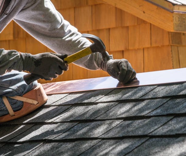 Best Roof Gutter Cleaning  in Granville South, OH